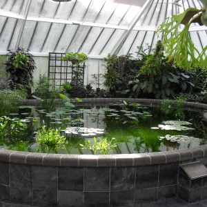 Fish Ponds