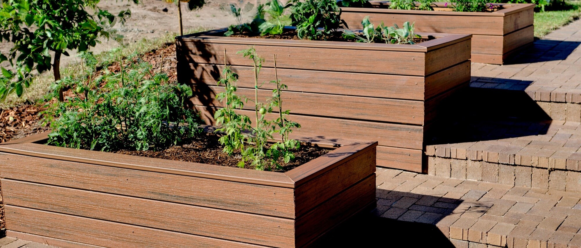 Planter Boxes